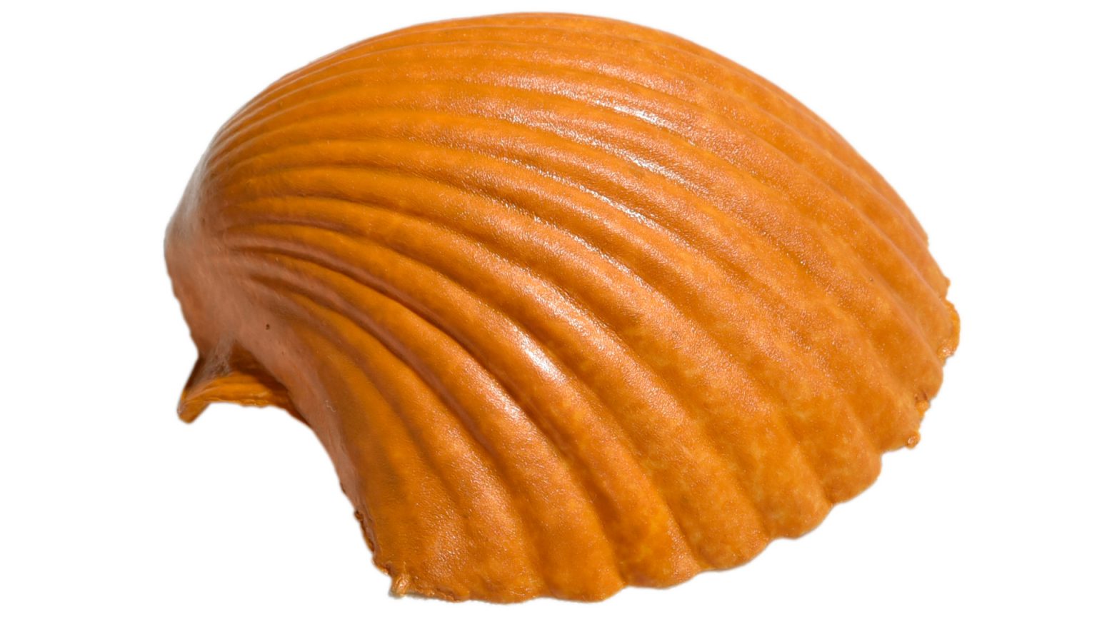 manualidades merceria